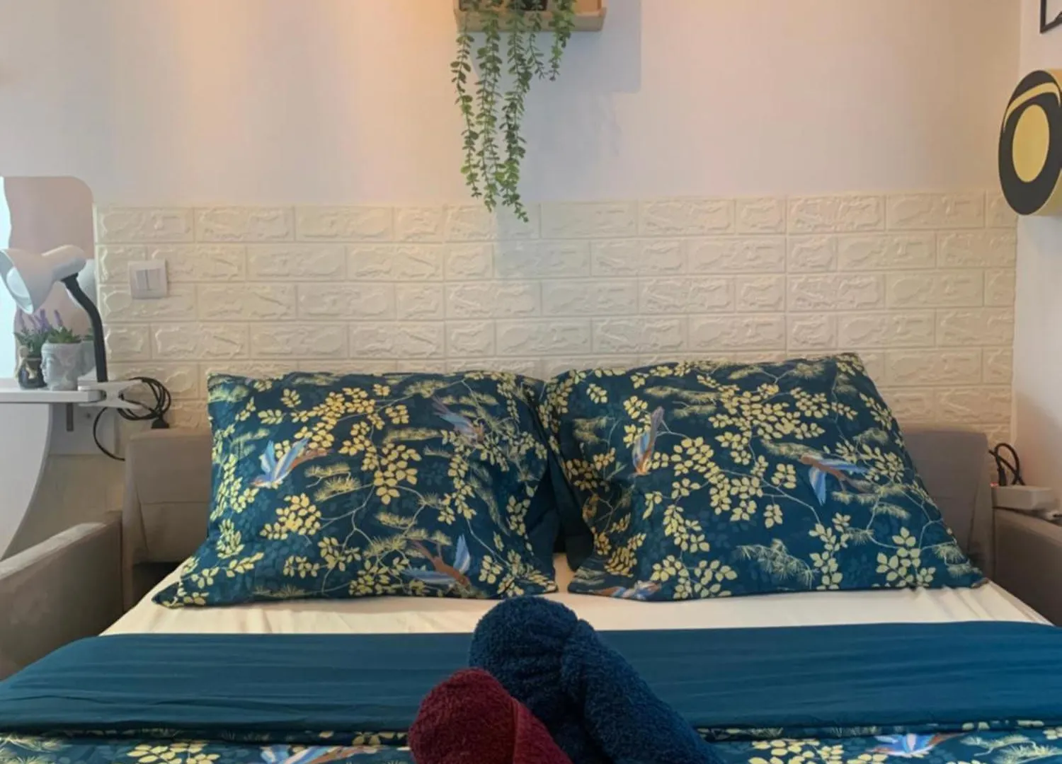 Paris Studio Cosy